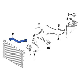 BMW OE - Lower Radiator Coolant Hose