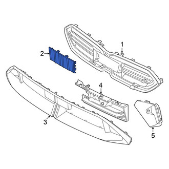 BMW OE - Front Grille Molding
