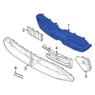 BMW OE - Front Left Lower Inner Grille
