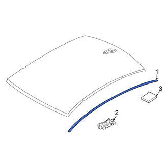 BMW OE - Left Roof Drip Molding