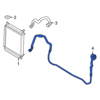 BMW OE - Lower Radiator Coolant Hose