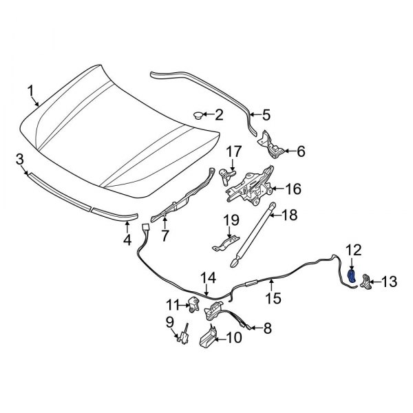 Hood Release Handle