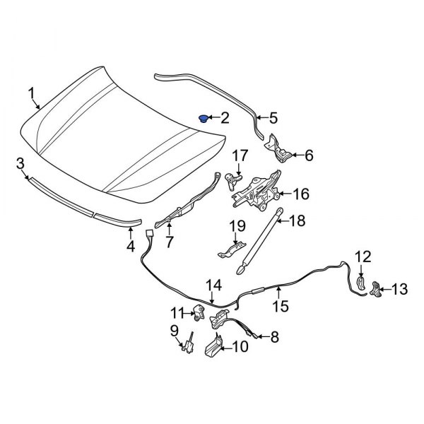 BMW OE 51718407016 - Front Hood Plug