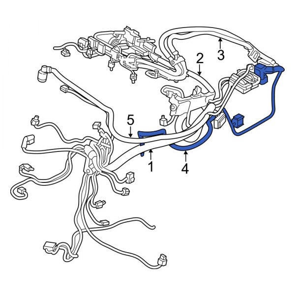 Engine Wiring Harness