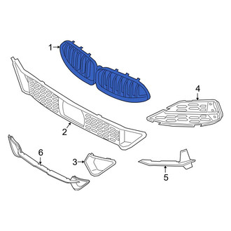 BMW OE - Front Upper Grille