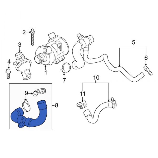 Radiator Coolant Hose