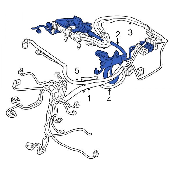 Engine Wiring Harness