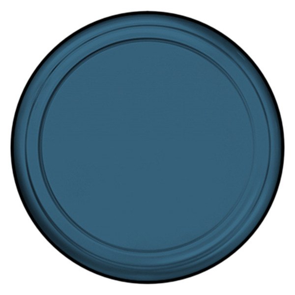 Boomerang® - 29/30" Rigid Series™ Atlantic Blue Pearlcoat Spare Tire Cover