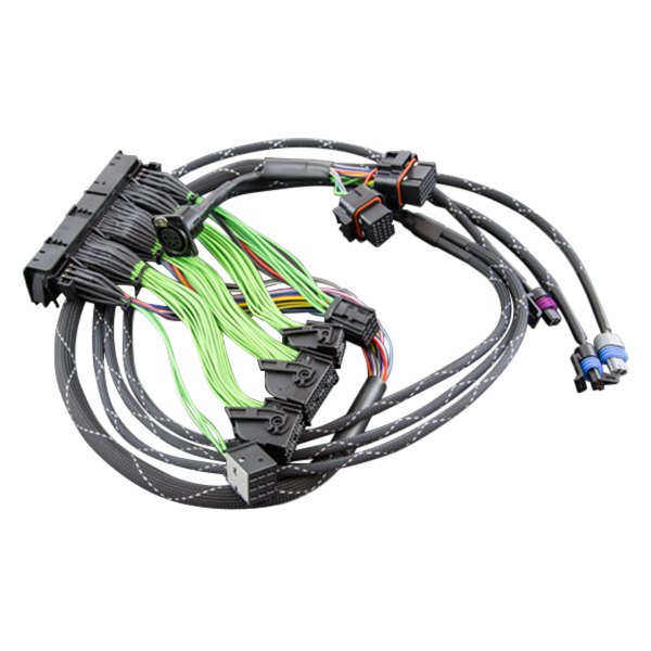 Boomslang® - MoTeC™ Plug and Play Harness 