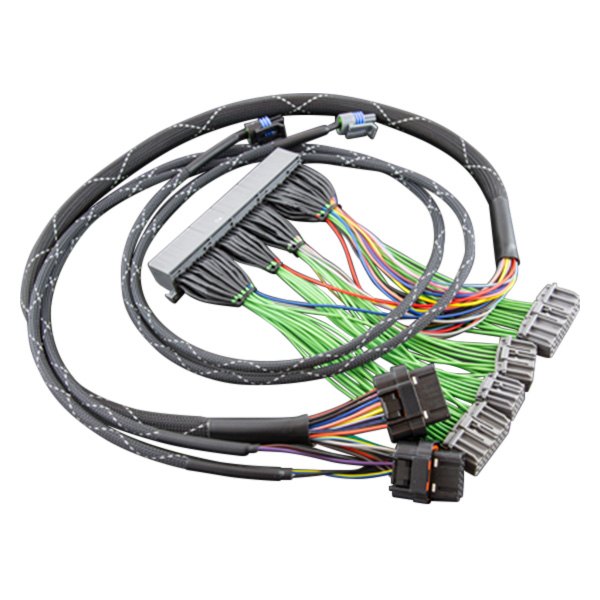 Boomslang® BF250512000 Haltech Elite™ 2000 Plug and Play Harness