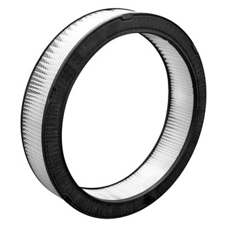 Bosch® - Air Filter