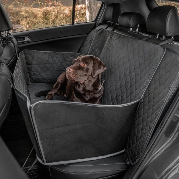 Rixxu Seat Covers The Key To Safe And StressFree Road Trip With Your Pet