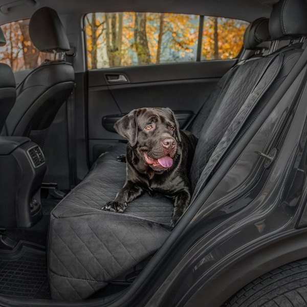 Rixxu Seat Covers The Key To Safe And StressFree Road Trip With Your Pet