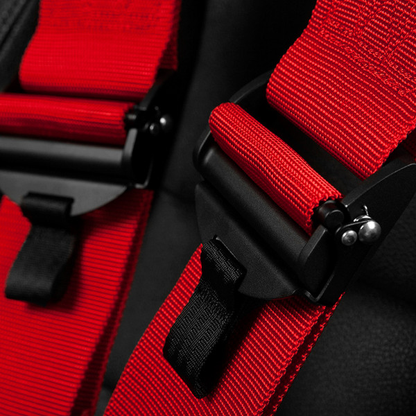 Braum® - FIA Red Harness Set
