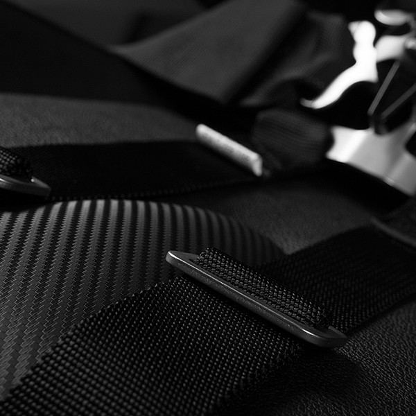 Braum® - FIA Harness Set