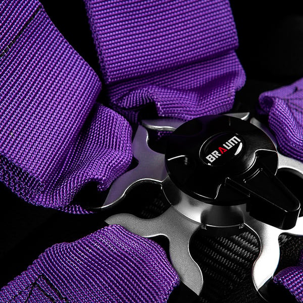 Braum® - SFI Purple Harness Set