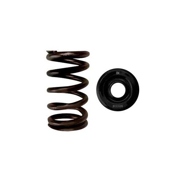 Brian Crower® - Valve Spring & Steel Retainer Kit