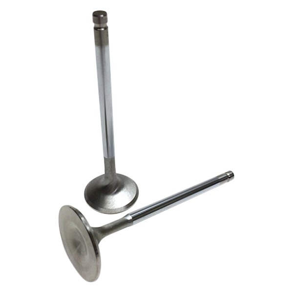 Brian Crower® - Intake Stainless Steel Valves