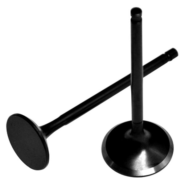 Brian Crower® - Intake Valves