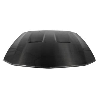 Carbon Creations® - DriTech Carbon Fiber Custom Hood