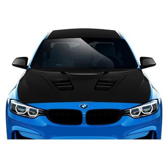 Carbon Creations® - DriTech Carbon Fiber Custom Hood