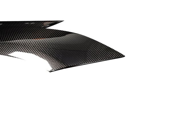Carbon Creations® 116221 - AMS GT2 Style Carbon Fiber Front Fenders