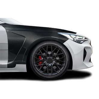 Carbon Creations® - Aegis Style Carbon Fiber Front Fenders