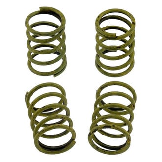 Carlson® - Rear Secondary Drum Brake Hold Down Springs