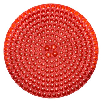 Chemical Guys® - Red Cyclone Dirt Trap Car Wash Bucket Insert