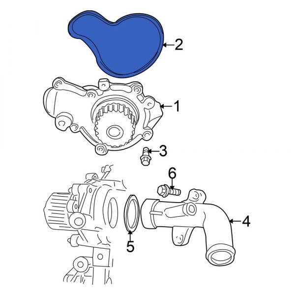 Engine Water Pump Seal