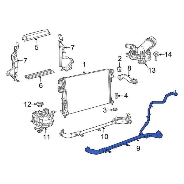 Radiator Coolant Hose