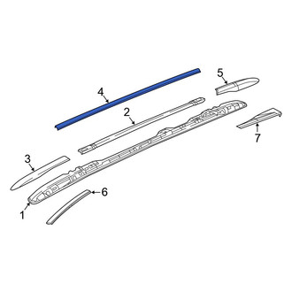 Chrysler OE - Center Roof Rack Cover