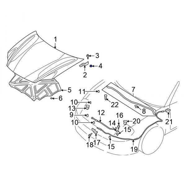 Hood Hinge Nut