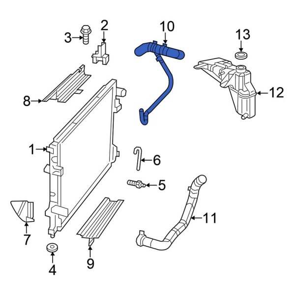 Radiator Coolant Hose