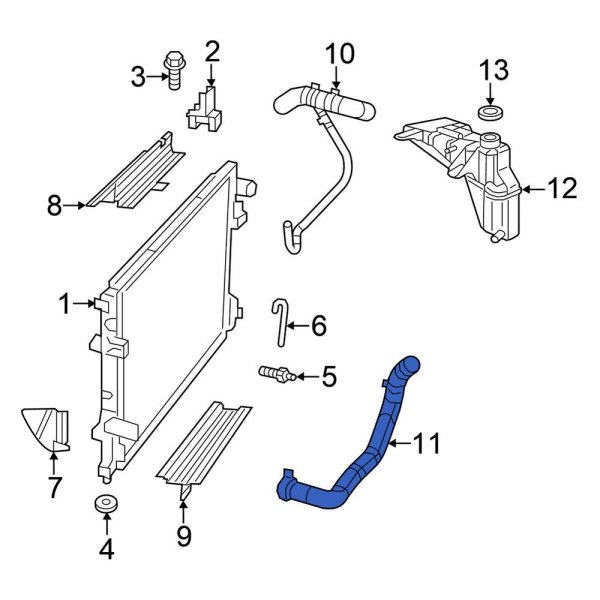 Radiator Coolant Hose