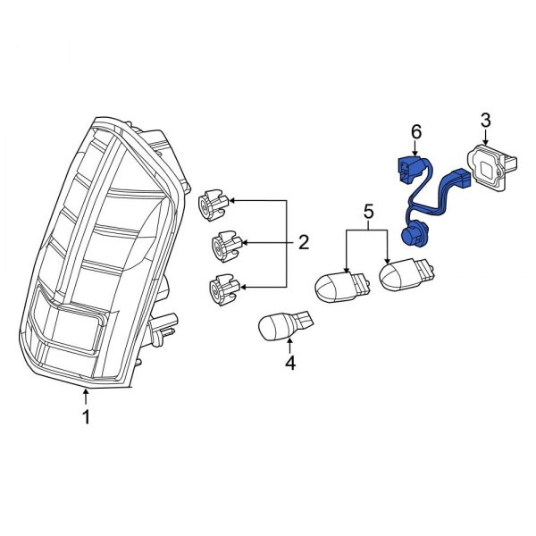 Tail Light Wiring Harness