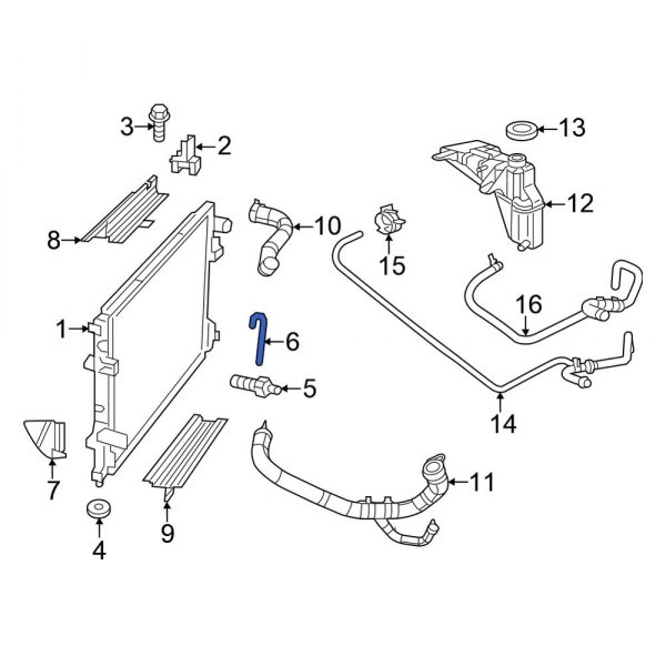 Radiator Coolant Hose