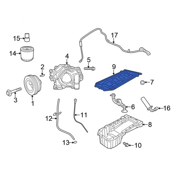 Engine Oil Pan Gasket