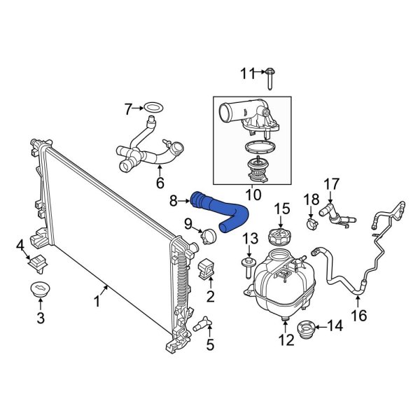 Radiator Coolant Hose