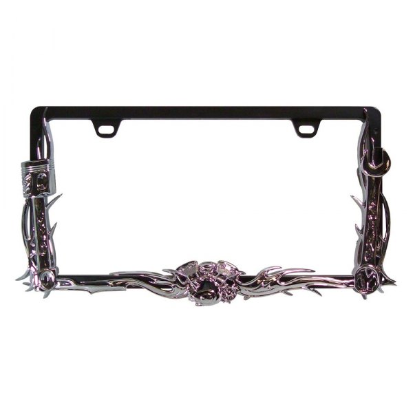 CIPA® - License Plate Frame with "Excessive Force"