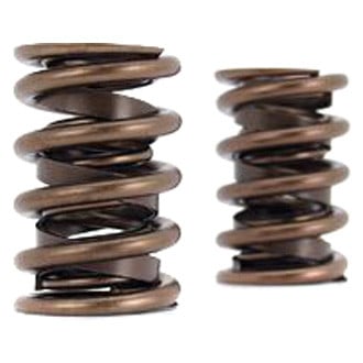 COMP Cams® - Race Valve Spring