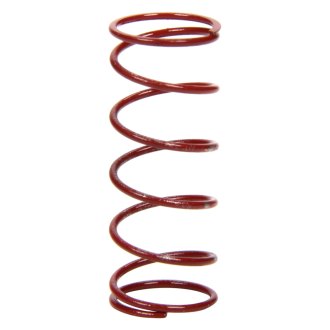 Conroy Tire Bleeder Spring Silver Single Conroy Tire Bleeder Spring Silver Single