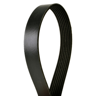 Continental® ContiTech™ - Serpentine Belt