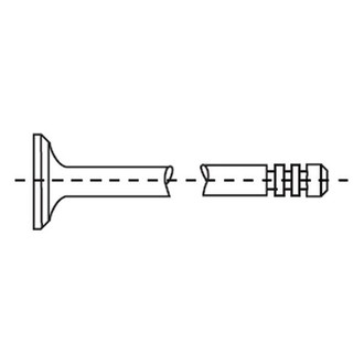 Corteco® - Intake Valve