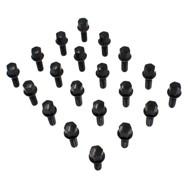 Coyote Accessories® - Black Radius/Ball Seat Bolt Lug Wheel Installation Kit