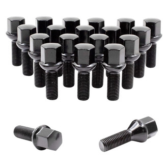 Coyote Accessories® - Black Radius/Ball Seat Bolt Lug Wheel Installation Kit w/o Valve Stems
