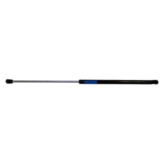 Crown® - Driver or Passenger Side Liftgate Lift Support