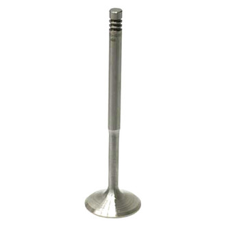 CRP® - Intake Valve