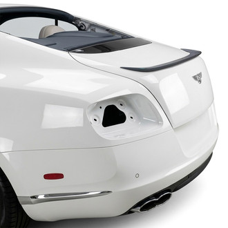 D2S® - Custom Style Rear Lip Spoiler with Light