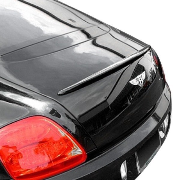  D2S® - Euro Style Carbon Fiber Rear Lip Spoiler